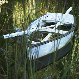 隐藏在草丛湖中的船和桨图片