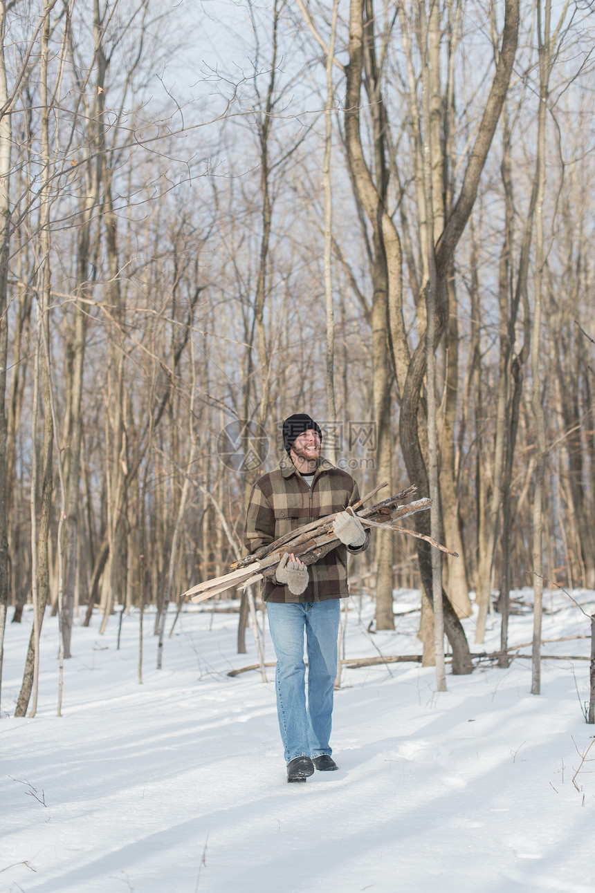 加拿大的森林中采集木柴的人图片