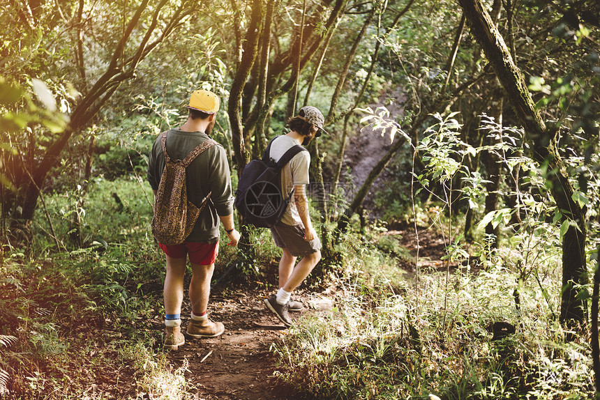 青年男性在雨林中徒步旅行图片