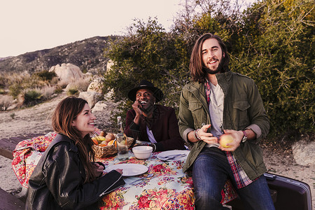 三个在沙漠野餐的成年朋友美国加利福尼亚州洛杉矶图片