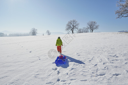 小男孩在雪中行走拉着橇后背向看图片