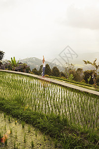 印度尼西亚巴厘岛的妇女在稻田边缘做伸展活动图片