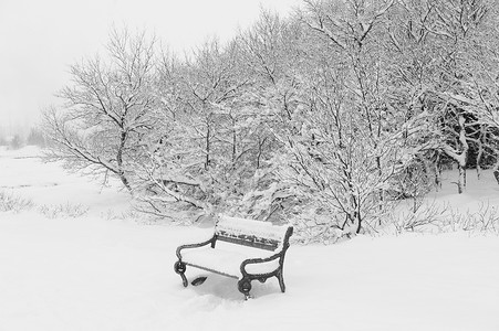 冰岛雷克雅未克公园被雪覆盖的长椅图片