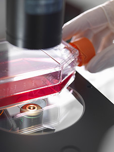 实验室反向显微镜平台上装有培养物的玻璃瓶图片