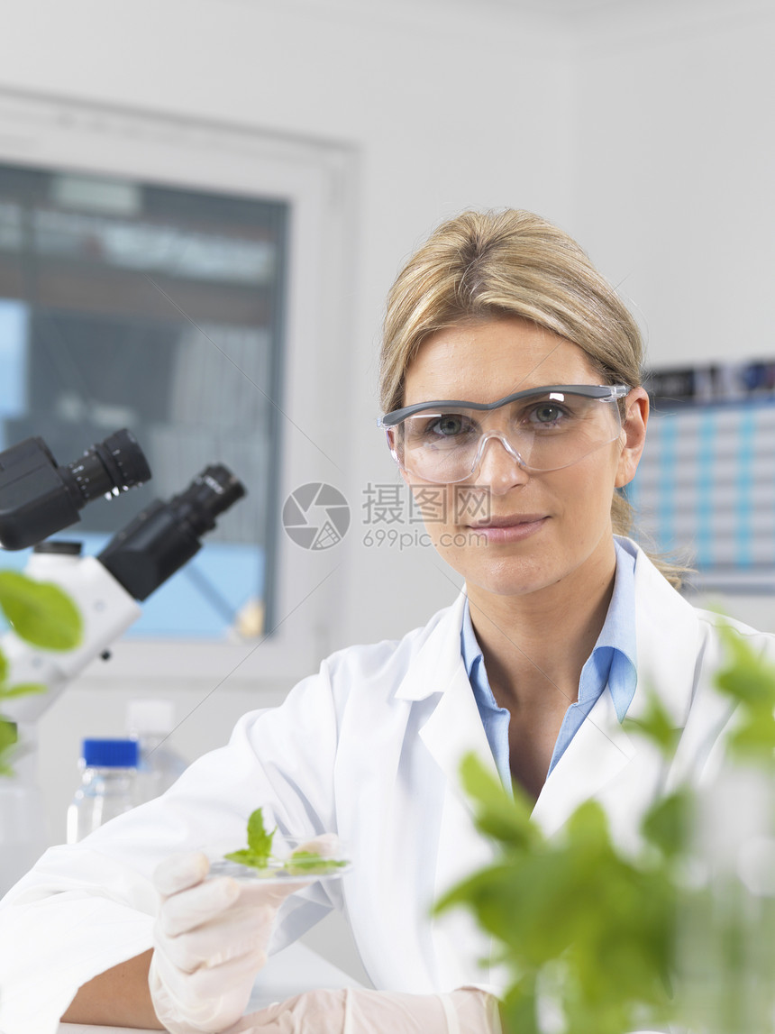 科学家观察研究实验室植物图片