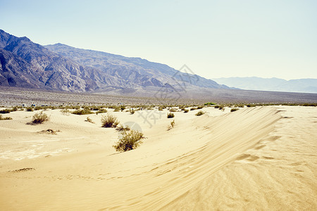 美国加利福尼亚州谷的景观图片