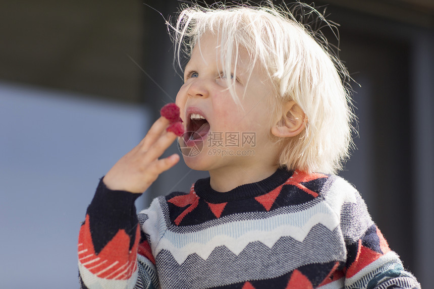 小男孩吃覆盆子图片