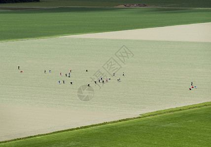 农田上的人群图片
