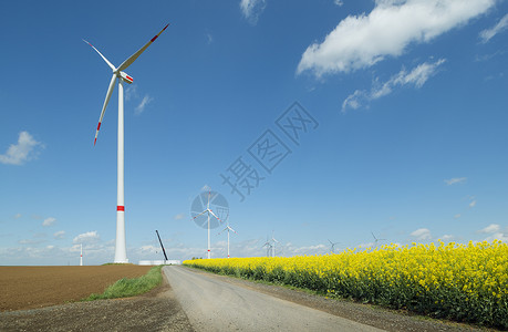 乡村产业风涡轮机和油菜花田场景背景