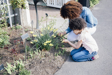 母亲和女儿双膝跪的侧视角看着花棚里的植物图片