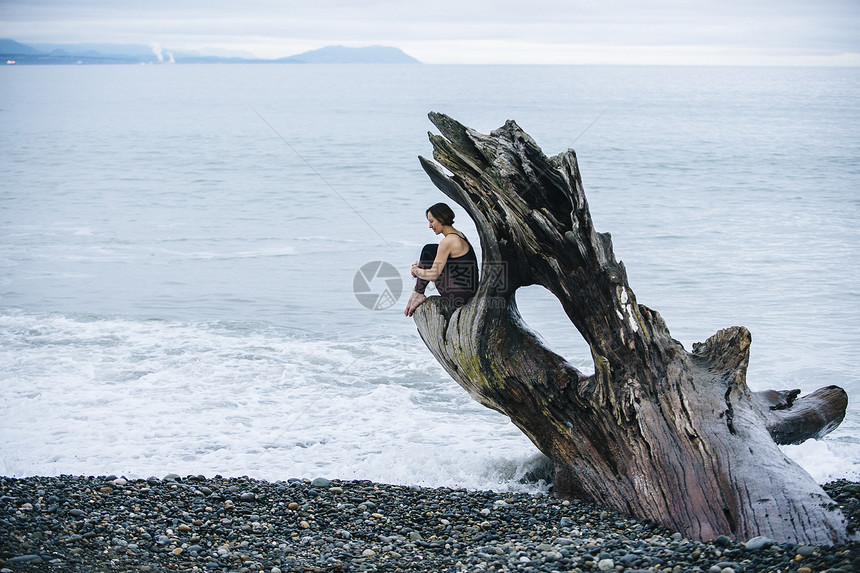 坐在沙滩上大型漂木树干上图片
