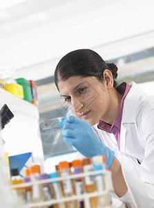 年轻女科学家在实验室观看血液样本图片
