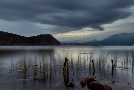 黄昏时分泸沽湖芦苇剪影的宁静景色云南图片