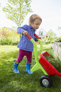 女孩在花园里用玩具手推车运输杂草图片