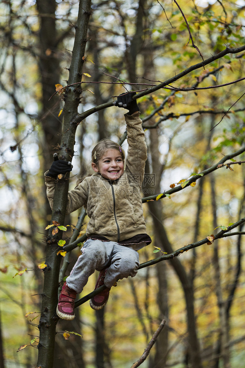 秋林中女孩挂在树枝上图片