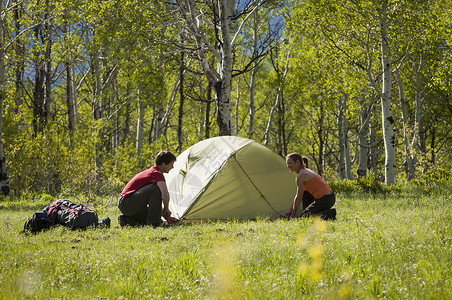 在美国犹他州瓦萨奇山森林建立背包旅行营地背景图片