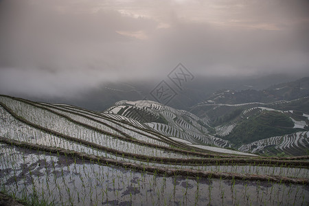 樊胜美广西壮族龙胜梯田背景