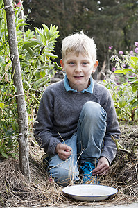 男孩跪在有机花园的肖像图片