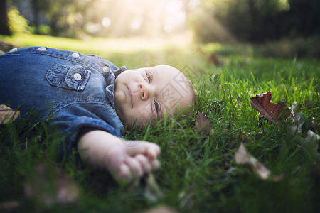 婴儿躺在秋叶上阳光照耀的草丛中向远看高清图片