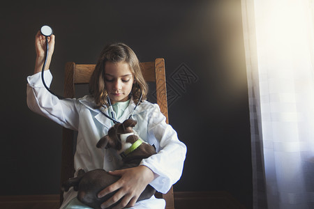 坐在椅子上的女孩打扮成医生用听诊器照顾波士顿小狗高清图片