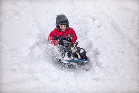 和狗狗一起滑雪的小男孩图片