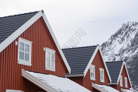 挪威洛福滕群岛房屋和雪盖山的详情图片