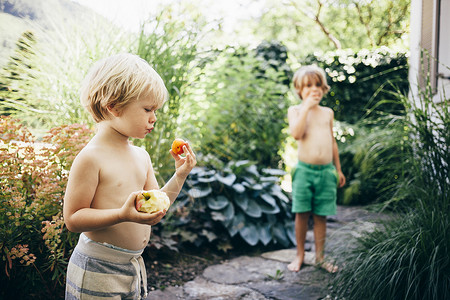 男孩在花园吃苹果和橙子图片