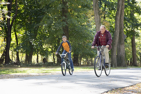 老人和孙子在树林中骑自行车图片
