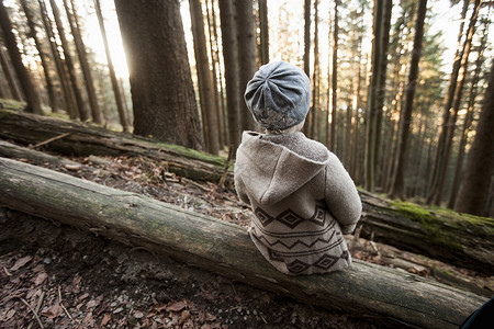 坐在森林树干上的幼女高清图片