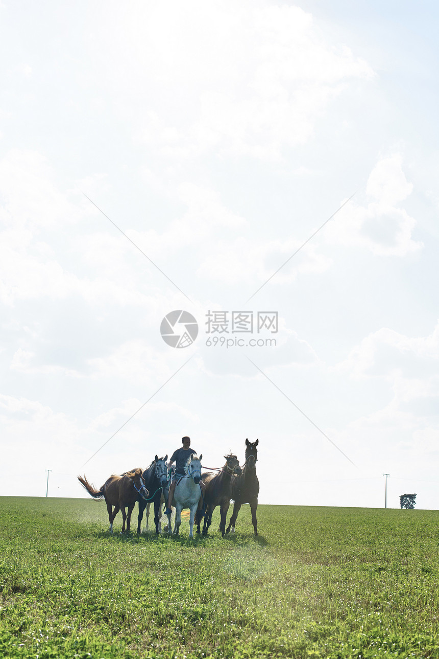 男人在草原上骑马图片