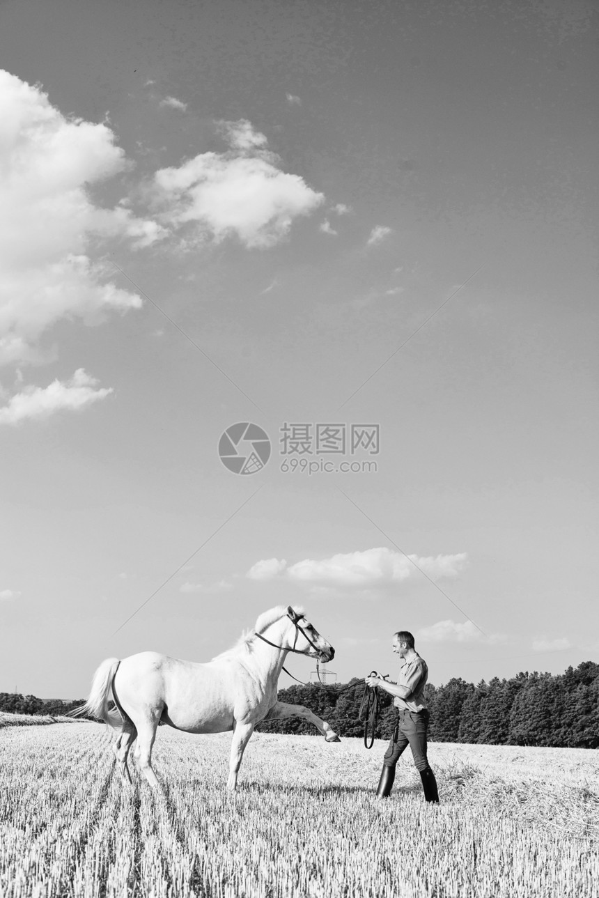 男人在野外训练马图片