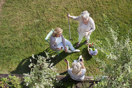 三名妇女一起在花园里聊天的俯视图图片