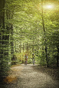 成熟的山上骑双车在森林的足迹上骑自行车背景图片