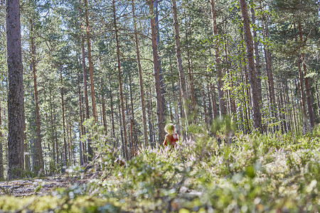 女孩在森林里玩耍的远视图片