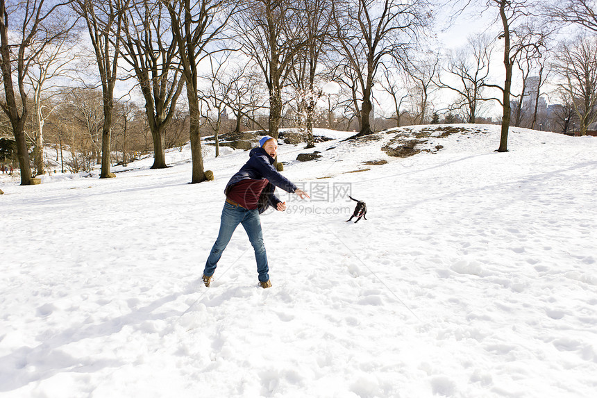 美国纽约中央公园站在雪地上遛狗的人图片