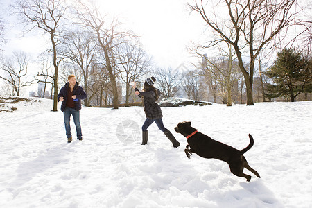 美国纽约中央公园站在雪地上玩雪的情侣图片
