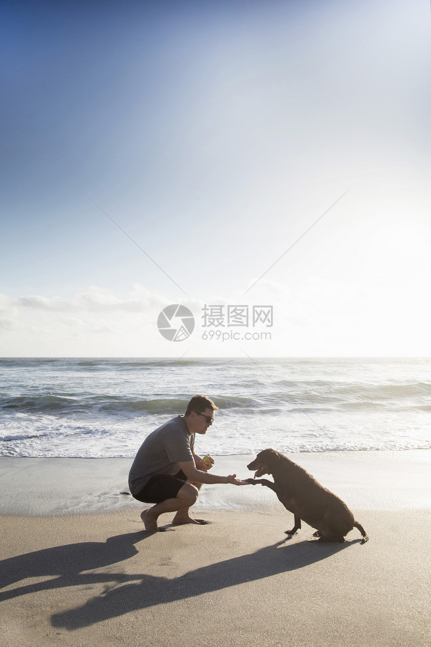 中成年男子和狗在海滩上握手图片