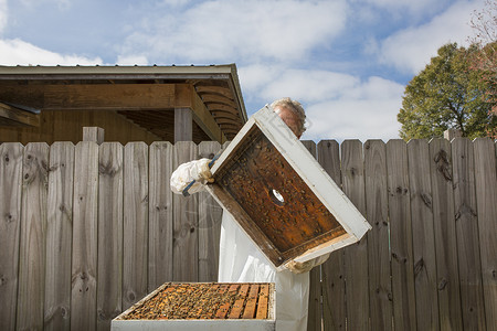 养蜂员盖上丰巢盖图片