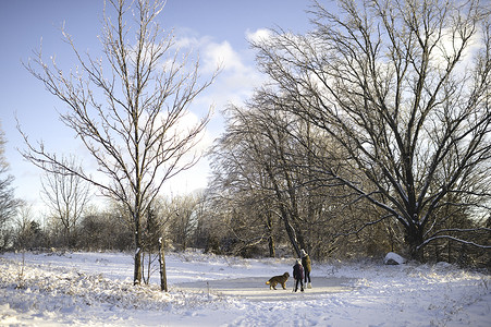 雪地的风景下的两个带着狗的年轻女孩图片