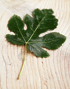 木板上的绿色植物的叶子图片