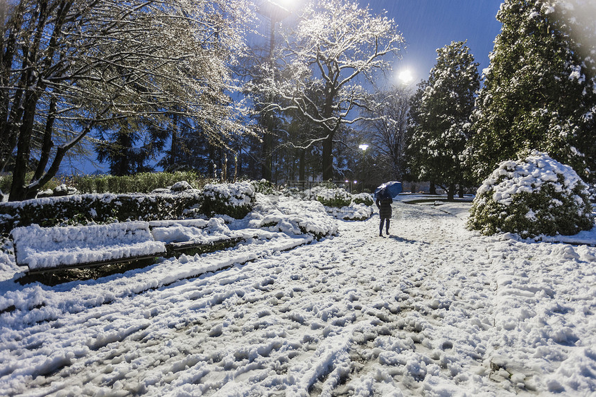 傍晚女人在白雪覆盖的风景上行走图片