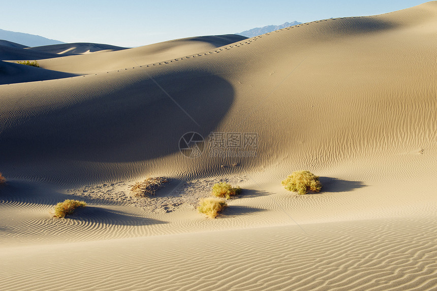 沙漠草和丘美国加利福尼亚州谷图片
