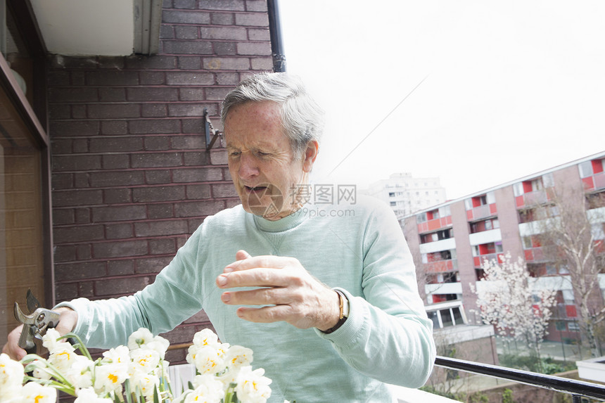 阳台上的男人园艺图片