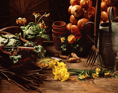 新鲜采摘的花和蔬菜图片