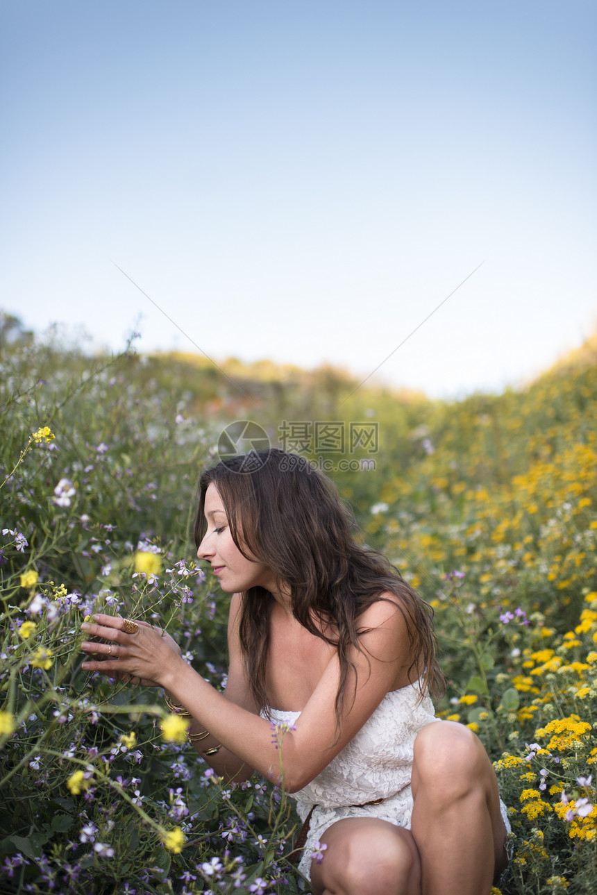 花田里的女人图片