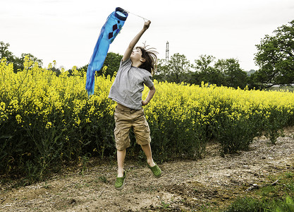 男孩在黄花田径上跳跃拉着鱼风筝图片