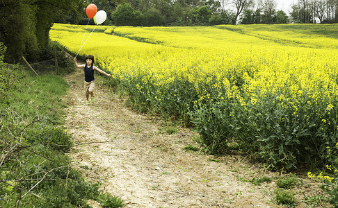 男孩沿着黄花田径奔跑拉着红白气球图片