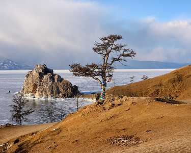 俄罗斯西伯利亚奥尔克洪岛湖旁边的树图片