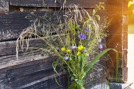 一群新采的野花在园棚子前图片