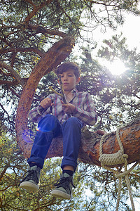 小男孩坐在树上制作弹弓图片
